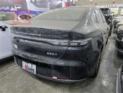 BYD Destroyer 05